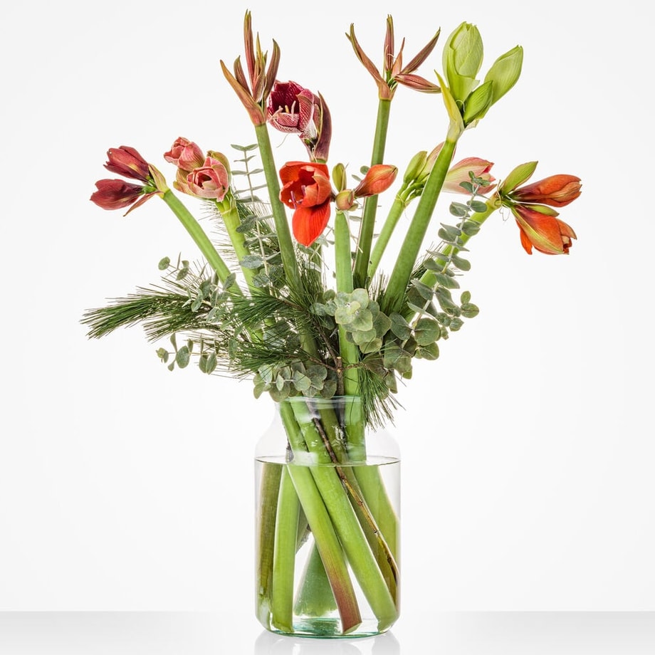 Beautiful Amaryllis bouquet