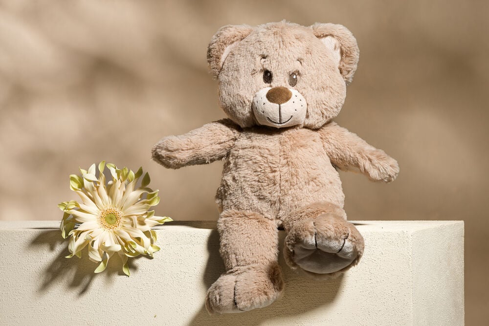 Teddy bear