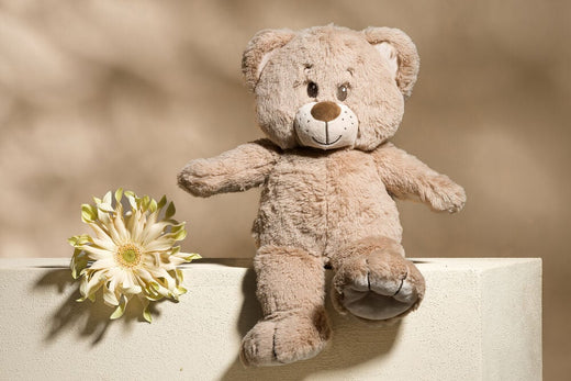 Teddy bear