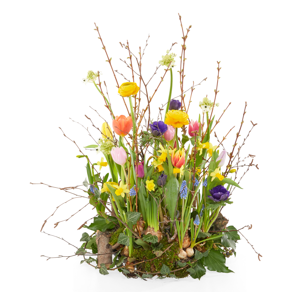 From the bulb - Round flower arrangement