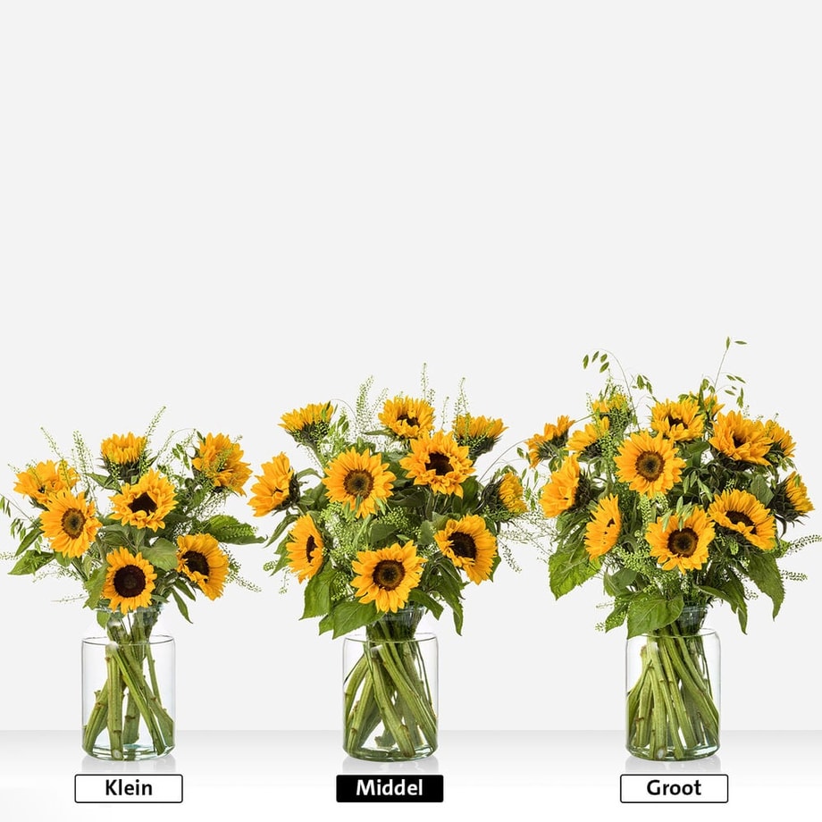 Zonnepracht boeket (inclusief vaas!)