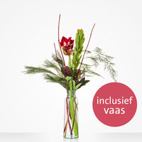 Vaasverrassing Amaryllis