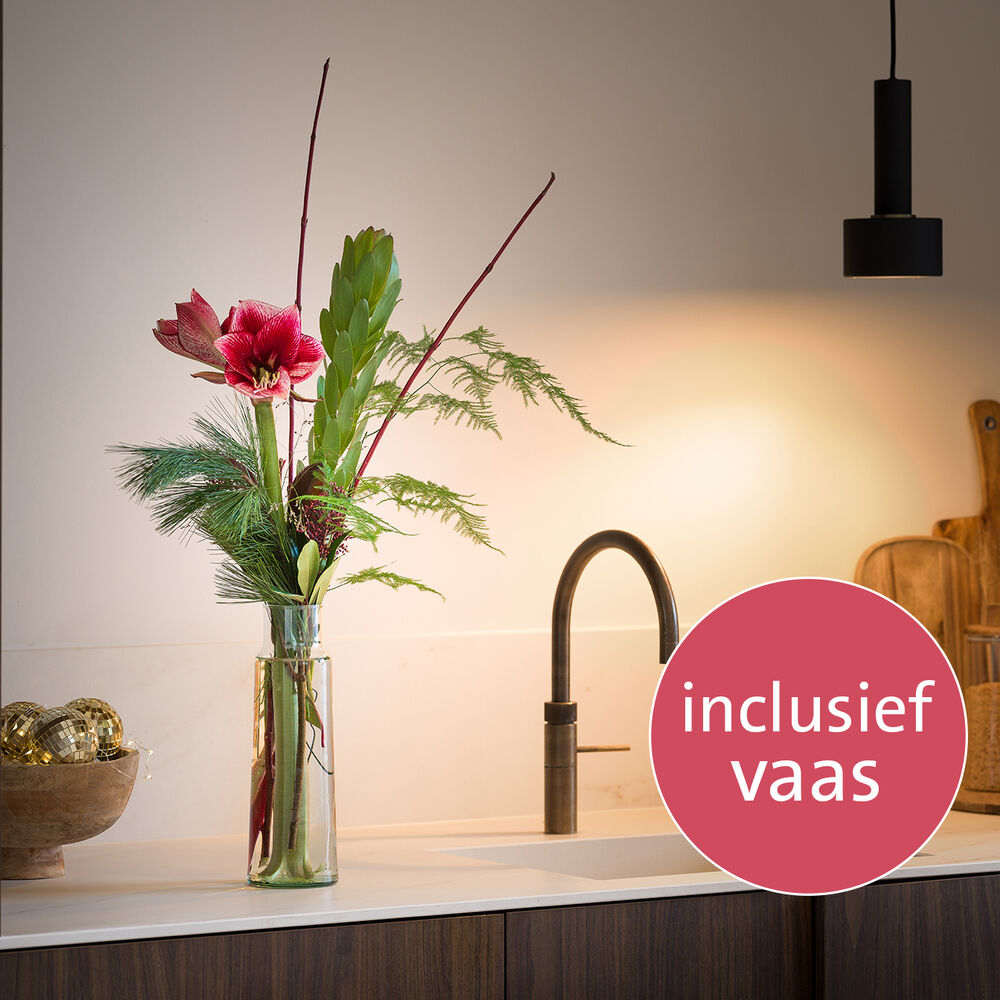 Vaasverrassing Amaryllis