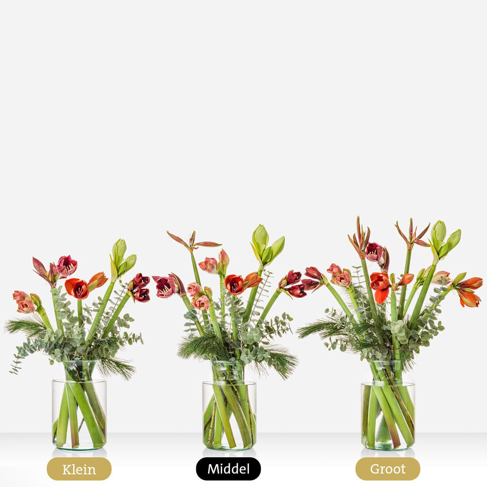 Beautiful Amaryllis bouquet